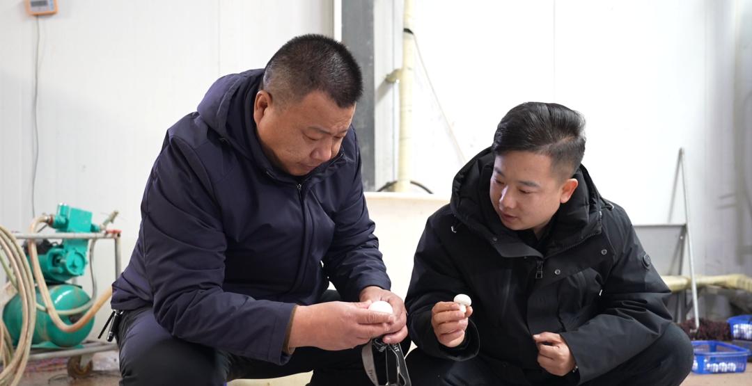 高温养殖致富_养殖致富经_高温天气养殖场做什么措施