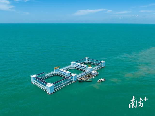 网箱养殖黄鳝技术指导_网箱养殖需要什么手续_黄蟮网箱养殖技术