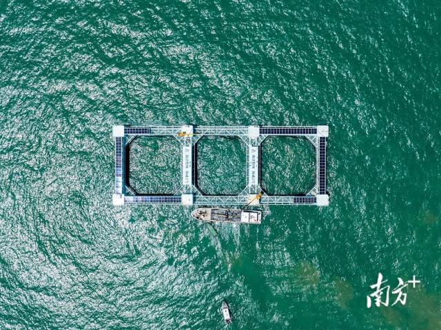 网箱养殖需要什么手续_网箱养殖黄鳝技术指导_黄蟮网箱养殖技术