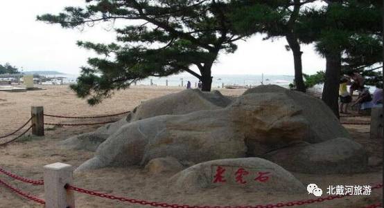 种植扶桑用什么土_扶桑花种子种植教程_扶桑的种植技术和片