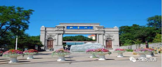 种植扶桑用什么土_扶桑的种植技术和片_扶桑花种子种植教程