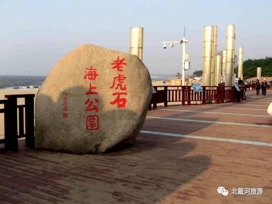 种植扶桑用什么土_扶桑花种子种植教程_扶桑的种植技术和片