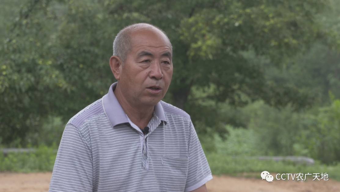 致富经野猪养殖_致富野猪养殖视频_野猪养殖户