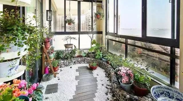 扶桑育种_扶桑的种植技术和片_种扶桑有什么说法吗