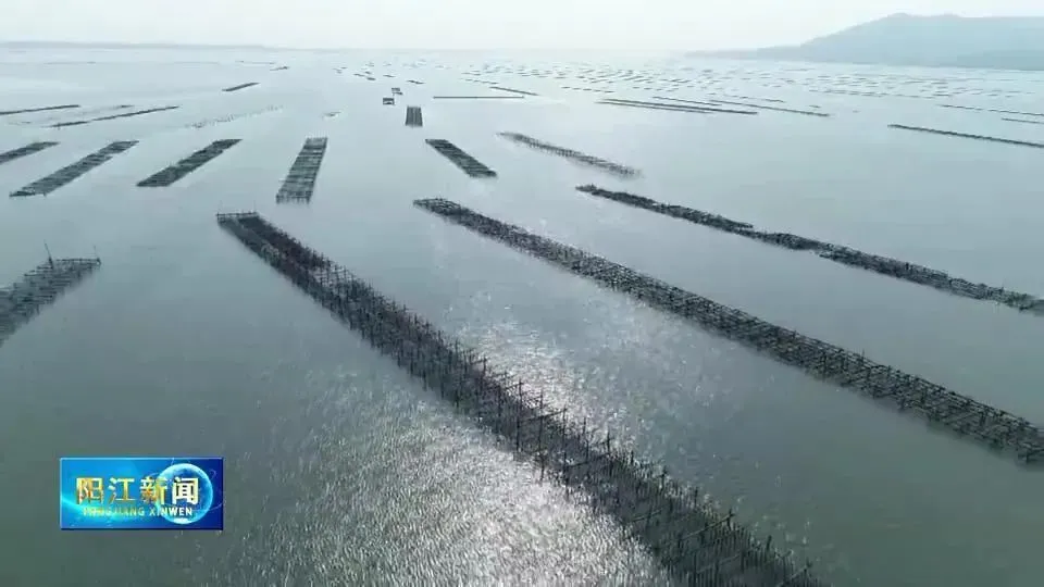 高温养殖致富_致富养殖视频_养殖致富经