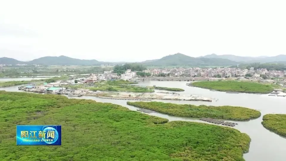 养殖致富经_致富养殖视频_高温养殖致富