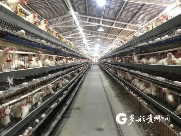 贵州赵士发致富经_新桥医院赵士福_赵士明