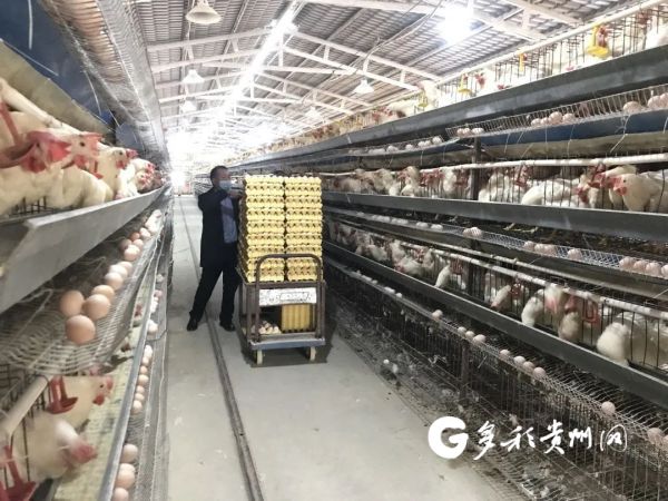 新桥医院赵士福_赵士明_贵州赵士发致富经