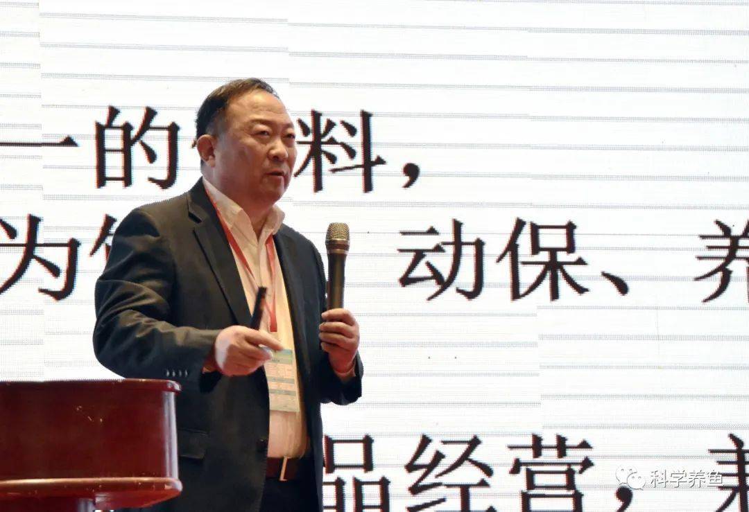 淡水养虾技术视频_致富经淡水养虾视频_致富经淡水虾养殖视频