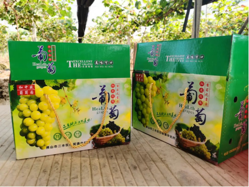 葡萄种植致富视频_致富经葡萄种植视频_视频致富种植葡萄怎么做