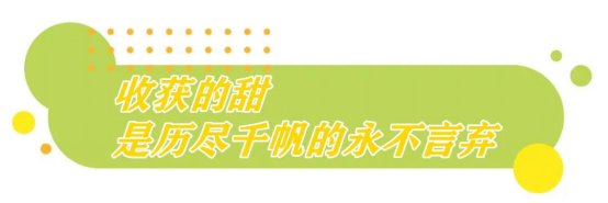 视频致富种植葡萄怎么做_致富经葡萄种植视频_葡萄种植致富视频