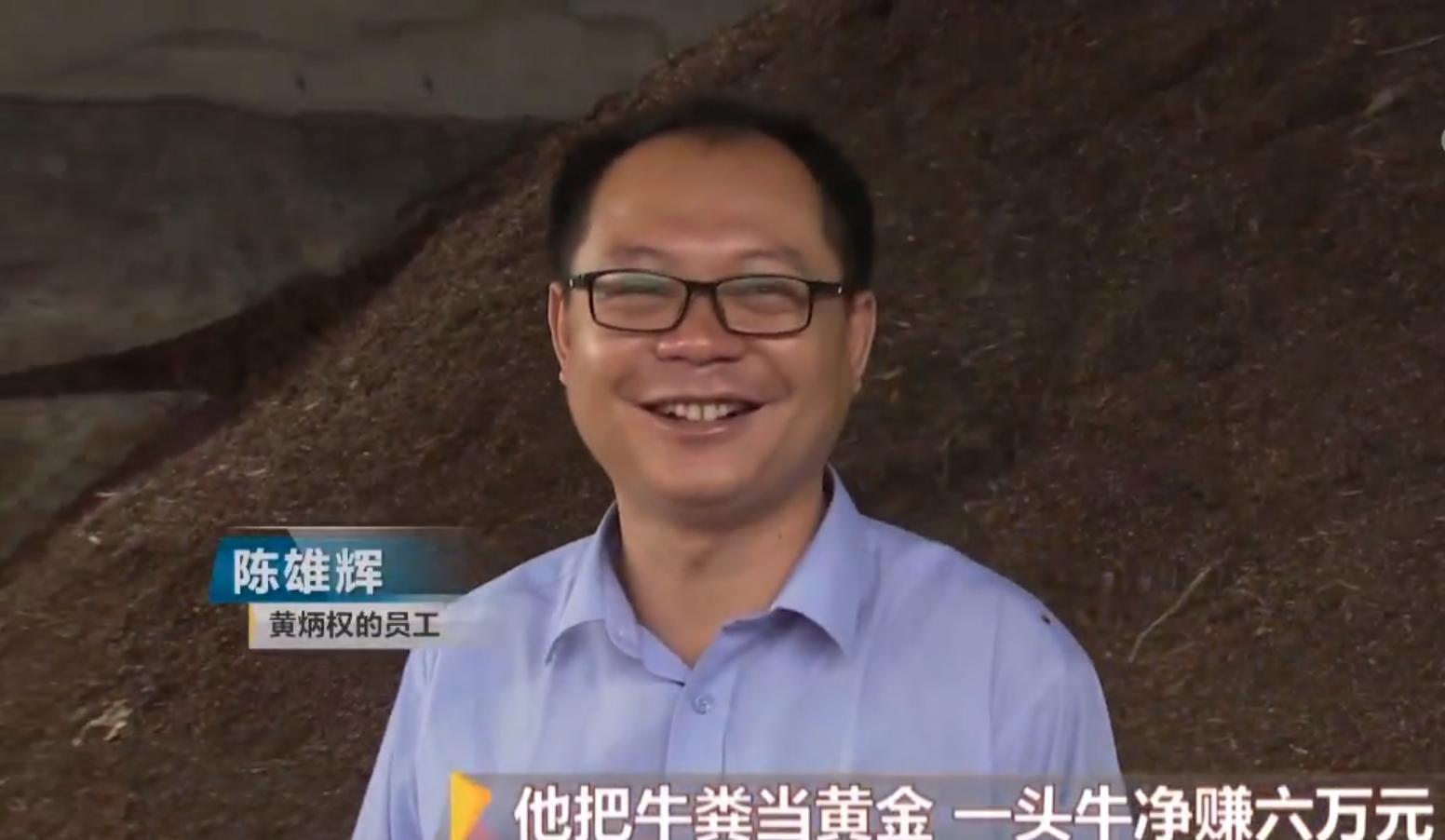 养蚯蚓喂牛粪加什么饲料最好_致富经 牛粪养蚯蚓_牛粪养蚯蚓挣钱吗
