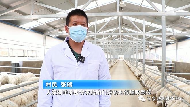 致富经养20万只湖羊_养殖湖羊_致富经养湖羊视频