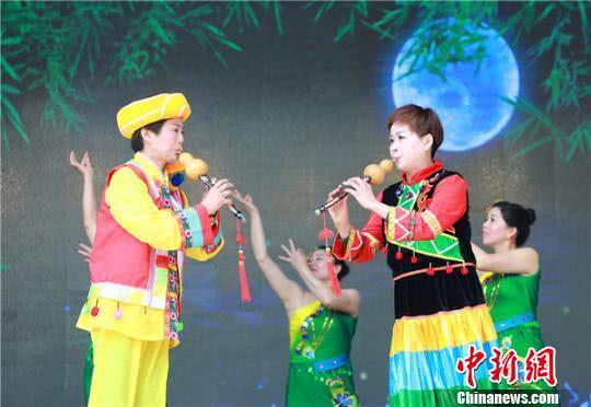致富经鸡_火鸡养殖加盟_致富经之火鸡
