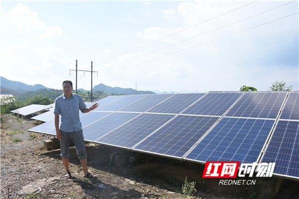 火鸡养殖加盟_致富经火鸡_致富经之火鸡