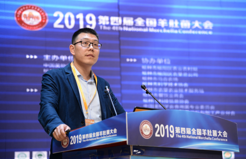 张亚：期待产业突破　羊肚菌工厂化栽培或成未来发展方向
