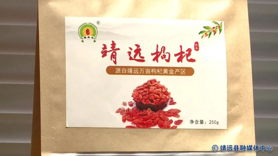 金果种植育苗总基地_致富种植金果视频_致富金果种植