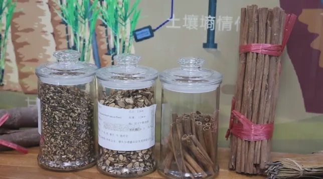 肇庆种植致富_肇庆农作物_肇庆蔬菜种植基地