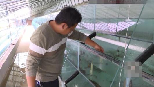 养殖水蛭大塘技术要求_水蛭养殖池建造技术视频大全_大塘养殖水蛭技术