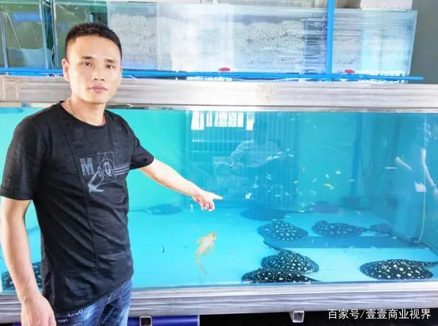 致富养鱼视频_如何养殖鱼致富_致富经养殖鱼视频