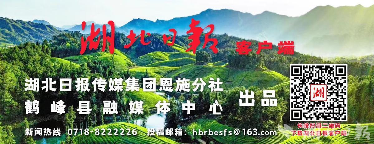 乡村养殖致富小说_农村致富网养殖业_养殖致富之路