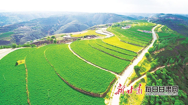 养殖山羊致富报道_致富经山羊养殖技术视频_致富经山羊养殖视频
