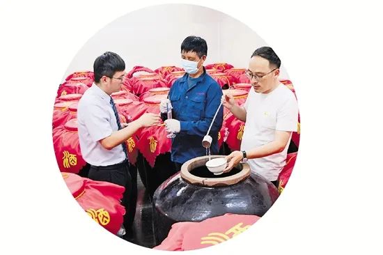 致富经葡萄栽培技术视频_致富经盆栽葡萄_致富经连标葡萄园
