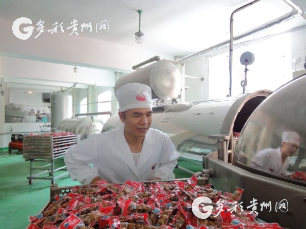 养殖鹌鹑创业致富_致富经养鹌鹑_养殖鹌鹑的风险和利润