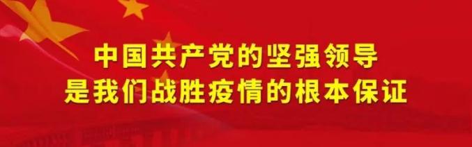 养殖鹌鹑创业致富_致富经鹌鹑养殖技术视频_养殖鹌鹑的风险和利润