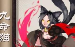 兰花养殖品种技术要求_兰花养殖品种技术要点_兰花的品种和养殖技术