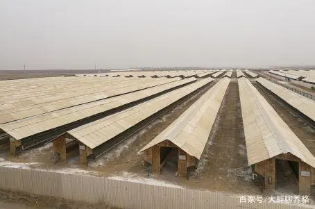 貉怎么繁殖_貉养殖与繁育实用技术书籍_貉养殖与繁育实用技术