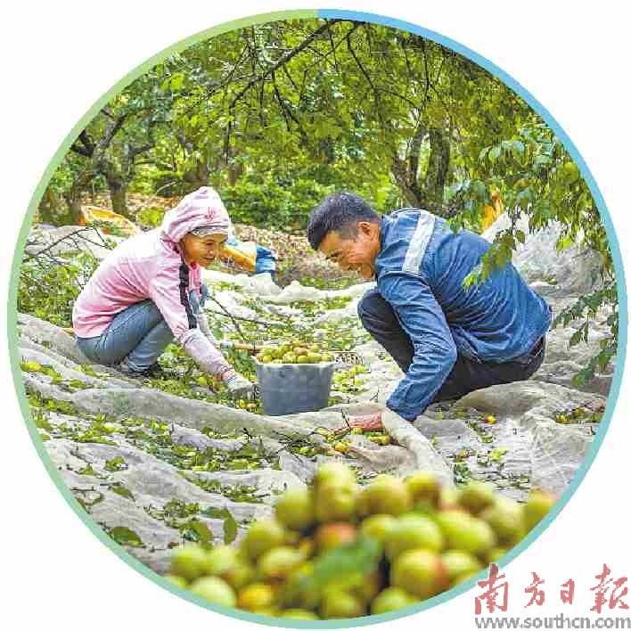 竹编致富_致富经竹子_致富经竹子创业