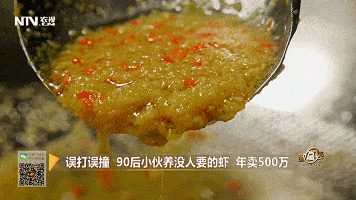 致富澳洲龙虾淡水养殖视频_致富经澳洲淡水大龙虾养殖_澳洲淡水龙虾养殖 致富经