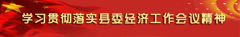 农村种瓜的视频_瓜农种植致富视频_致富经农业种植视频