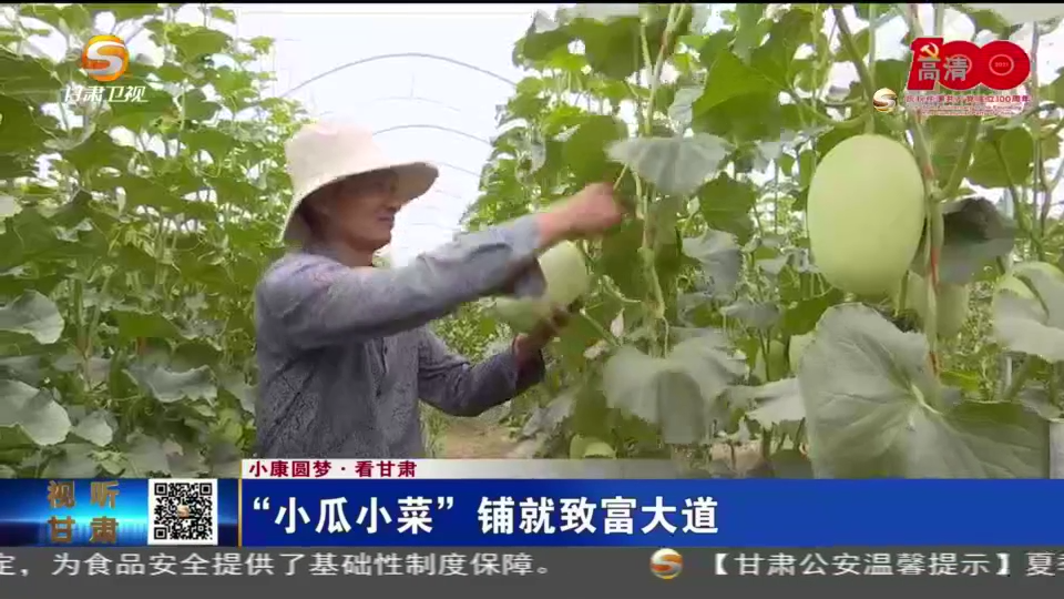 致富经农业种植视频_农村种瓜的视频_瓜农种植致富视频