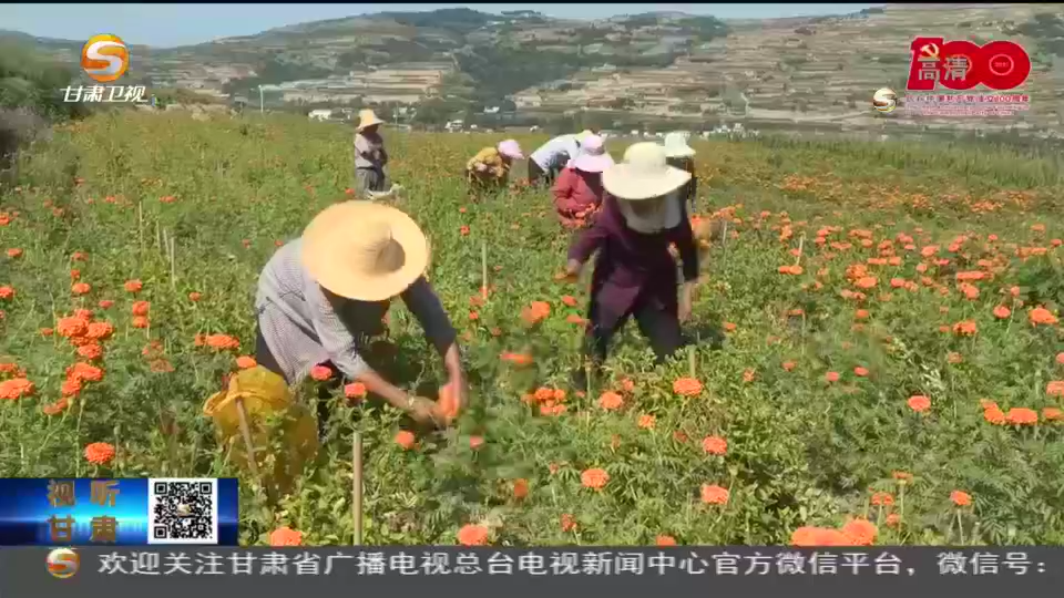 致富经农业种植视频_农村种瓜的视频_瓜农种植致富视频