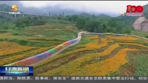 致富经农业种植视频_农村种瓜的视频_瓜农种植致富视频