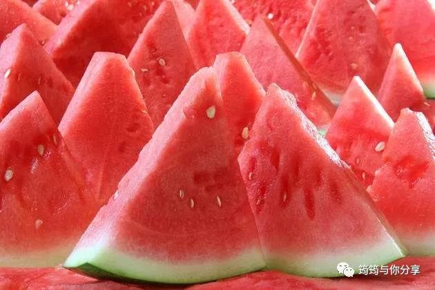 西瓜大棚栽培技术要点_春大棚西瓜种植技术_西瓜大棚栽培技术