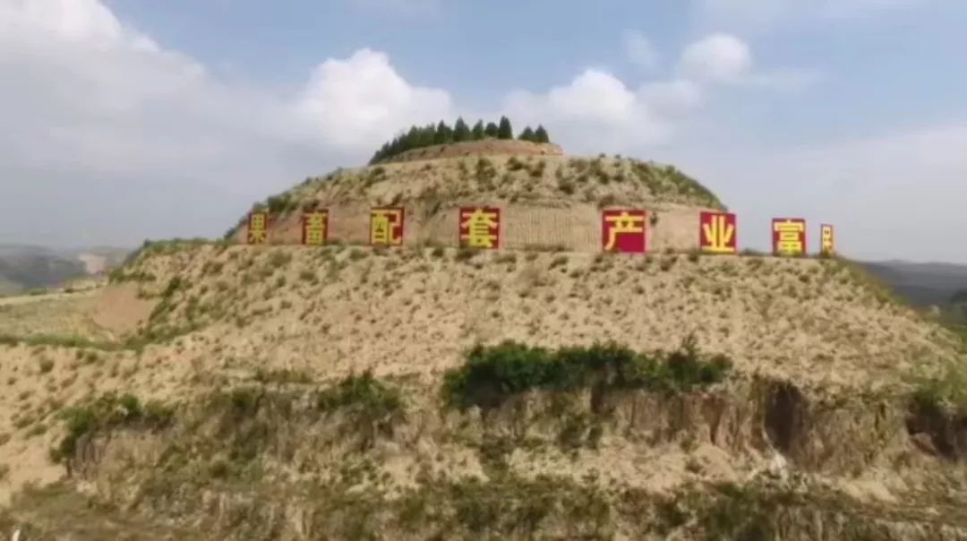山地种植致富_致富山地种植技术视频_致富山地种植视频