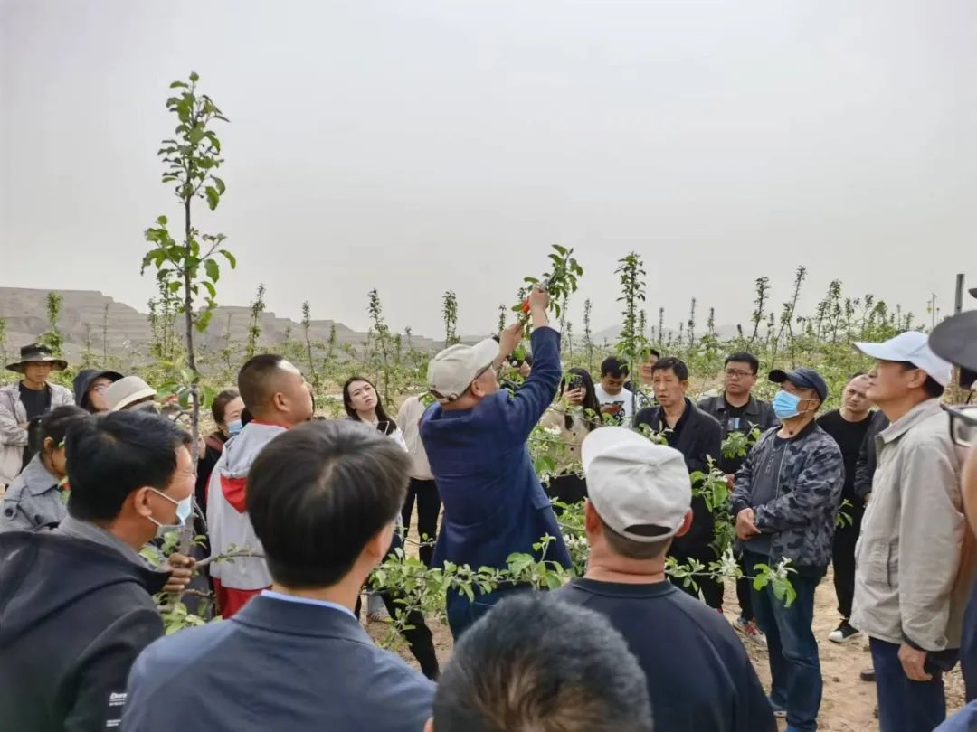 山地致富经_山地种植什么赚钱_山地种植致富