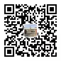 山地种植致富_山地致富经_山地种植什么赚钱
