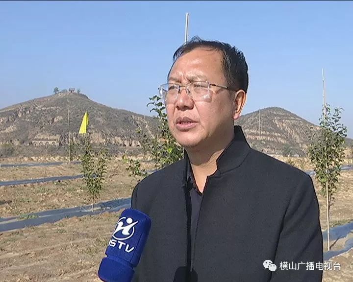 山地种植致富_山地致富经_山区种植什么致富