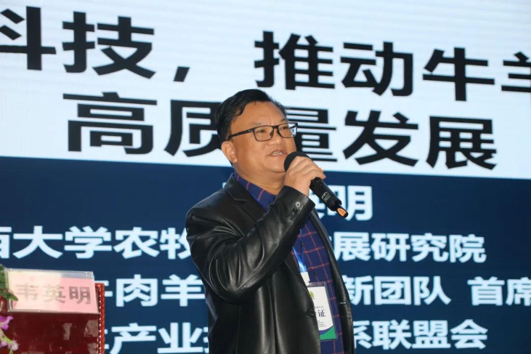 南方种植项目_南方种植业什么前景最好_南方种植致富