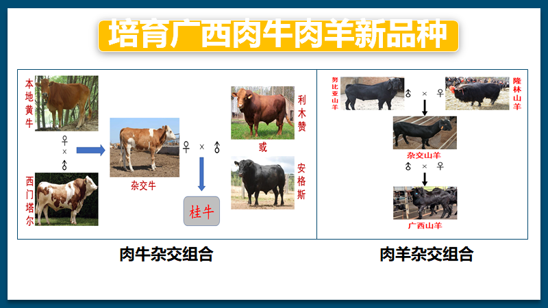 南方种植项目_南方种植业什么前景最好_南方种植致富