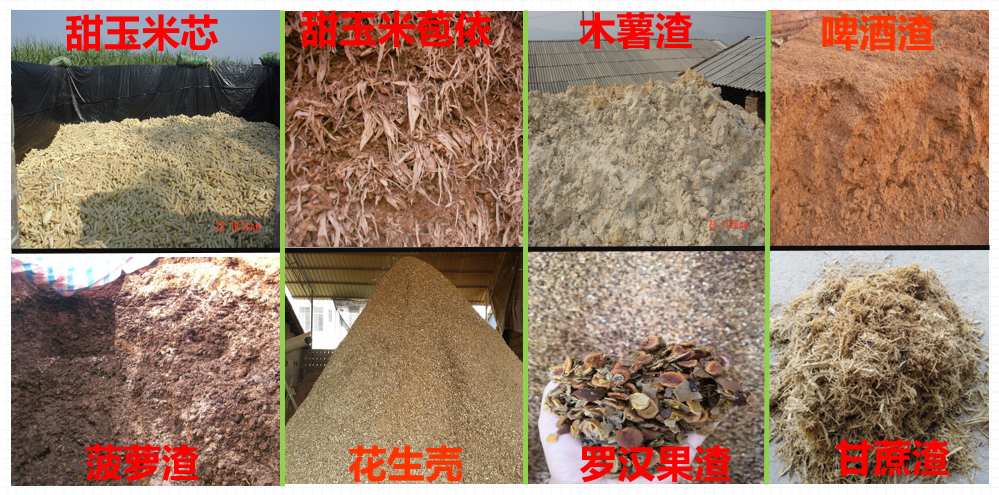南方种植业什么前景最好_南方种植项目_南方种植致富