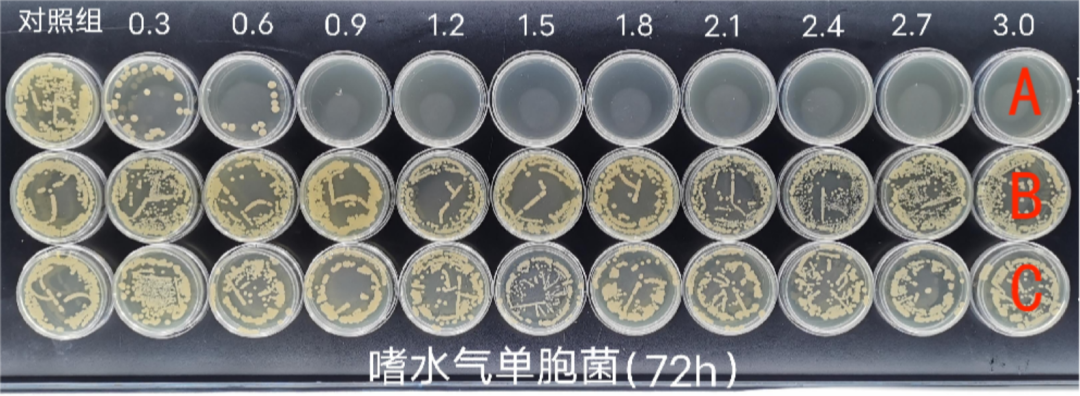 水产养殖学_水产养殖技术哪里学_养殖水产学技术好就业吗
