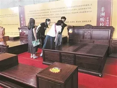 致富经刺猬养殖_养殖刺猬致富骗局_养殖刺猬赚钱吗
