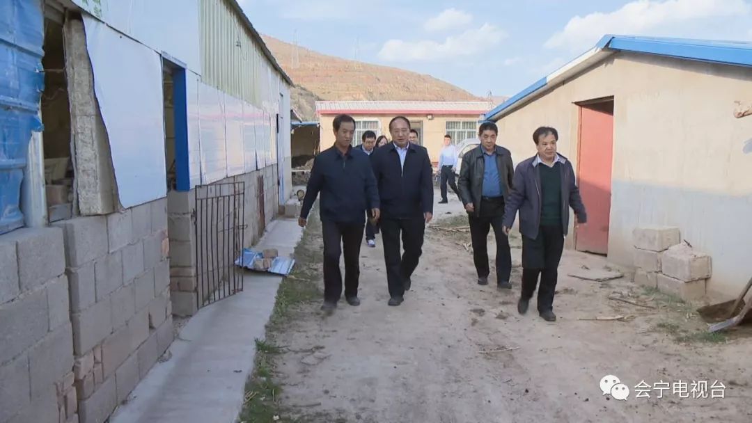 安格斯肉牛养殖 致富_安格斯牛养殖前景_安格斯肉牛养殖基地
