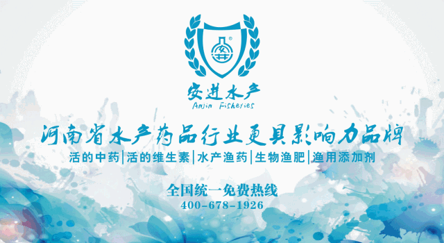 养殖梭子蟹_梭子蟹室内养殖技术_养梭子蟹技术大全