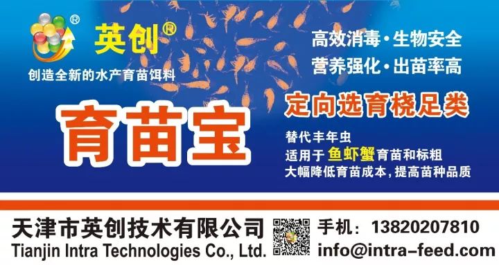养殖梭子蟹_养梭子蟹技术大全_梭子蟹室内养殖技术